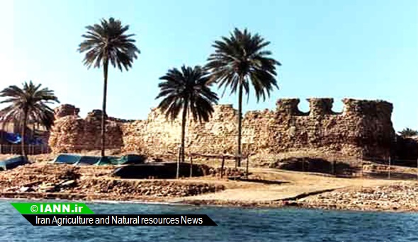 قشم، بزرگترین جزیره خلیج فارس سرسبز می شود