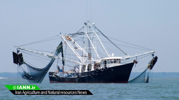 ۲ کشتی ایرانی از دست دزدان دریایی آزاد شدند