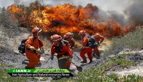 رزمایش مهار آتش سوزی جنگل با حضور معاون رییس جمهوری در یاسوج آغاز شد