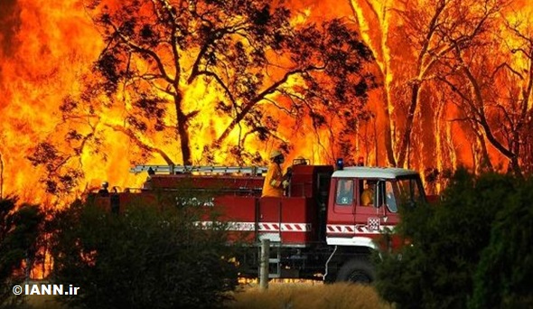 وضعیت آتش‌سوزی‌های جنگلی در جهان