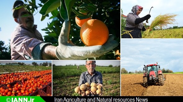 سرمایه‌گذاری در صنعت غذا و کشاورزی کشور جان می‌گیرد