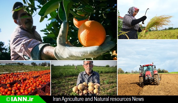صادرات محصولات غذایی ایران در پسا برجام افزایش یافت