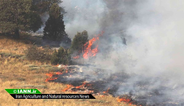 آتش سوزی در کوه بَمو در استان فارس