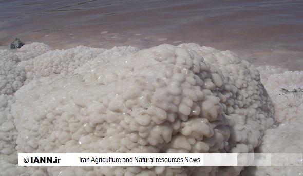 تاثیر نمک دریاچه ارومیه بر سلامت اهالی این منطقه بررسی می شود