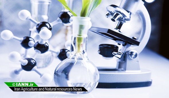 ضرورت بررسی اثرات محصولات دستکاری شده ژنتیکی بر محیط زیست