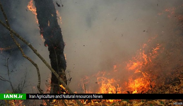 گزارش تصویری/ وقوع آتش سوزی در جنگل نیشهر – استان مرکزی