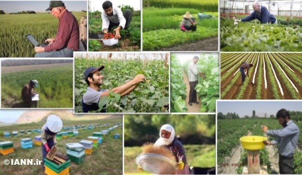 باید و نبایدهای رئیس سازمان جهاد کشاورزی فارس به بهره‌برداران کشاورزی