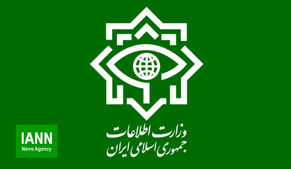 ممنوع‌الخروجی «کاوه مدنی» با تقاضای معاونتی در وزارت اطلاعات رفع شد