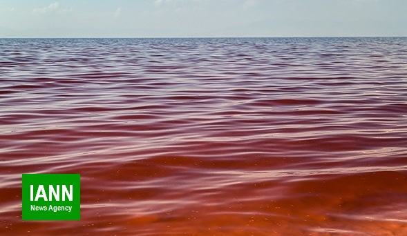 رنگ قرمز دریاچه ارومیه چه اندازه نگران کننده است