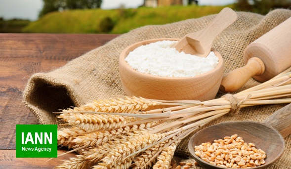 برنامه ایران برای صادرات آرد گندم به عراق و افغانستان