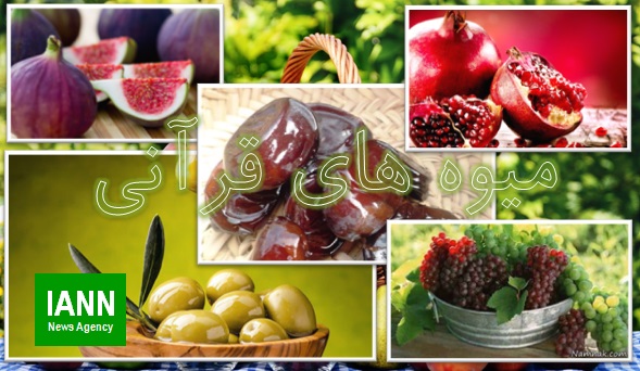 ویدئو/ جشنواره میوه قرآنی