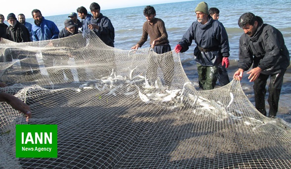 گزارش تصویری/ آخرین صید ماهیگیران شمالی