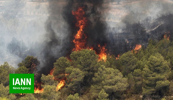 مهار آتش جنگل های لاهیجان و لنگرود/ادامه اطفای حریق در مراتع سیاهکل