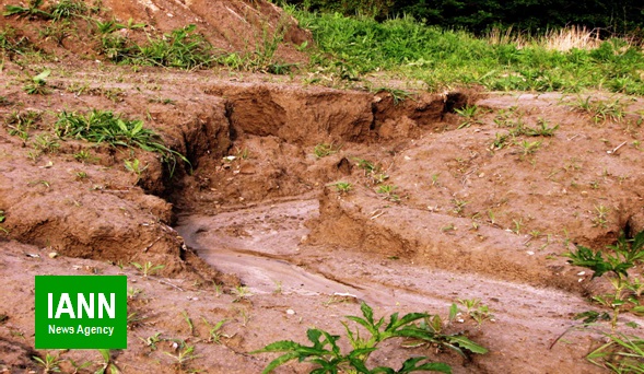 گزارش/ ضرر ۴ هزار و ۵۰۰ دلاری فرسایش خاک در هر هکتار