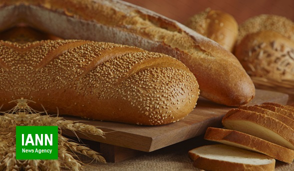 مسوول صنفی: بهبود کیفیت نان در گرو حذف یارانه است/ امکان صدور مایه خمیر