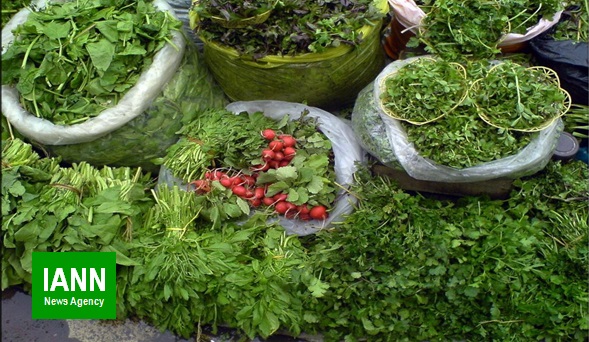 رونق سبزی کاری بدون سموم شیمیایی در مزارع لاریجان