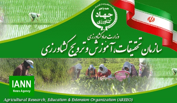 ۵۷ رقم جدید زراعی و باغی در استان فارس معرفی شد/ بومی‌سازی بستر کاشت گلخانه‌ها در مرکز تحقیقات کشاورزی