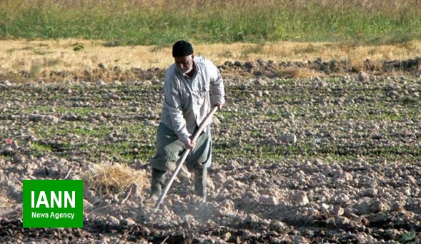 قرار گرفتن دانه روغنی سویا در الگوی کشت استان فارس
