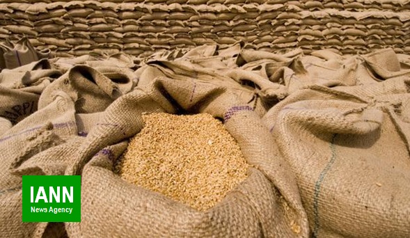 بخش دولتی و خصوصی ظرفیت نگهداری بیش از ۱۸ میلیون تن گندم را دارد