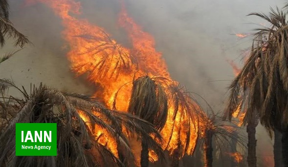 وقوع سیزده فقره آتش‌سوزی در عرصه‌های طبیعی شهرستان بیضا از ابتدای سال جاری تاکنون