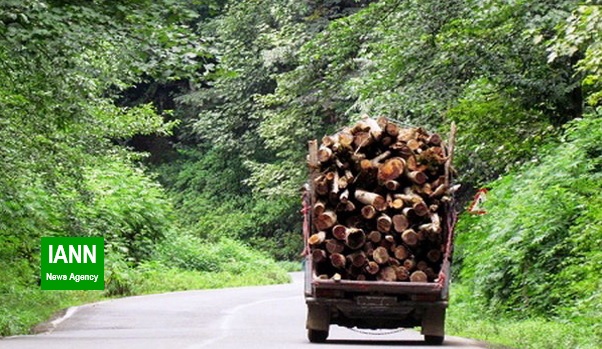 صوت/ قاچاق چوب با وسایل حمل و نقل کوچک