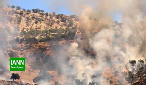 آتش سوزی منطقه حفاظت شده خامی باشت همچنان ادامه دارد