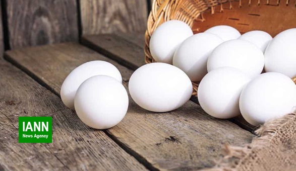 روزانه ۵۰ تن تخم مرغ در بیضا تولید و بسته بندی می شود