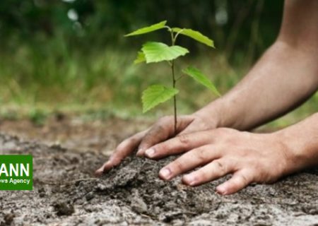 ۱۰ اصل مهم درختکاری و حفظ جنگل ها