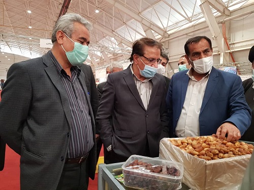 ایجاد زنجیره ارزش خرما اولویت جهاد کشاورزی فارس