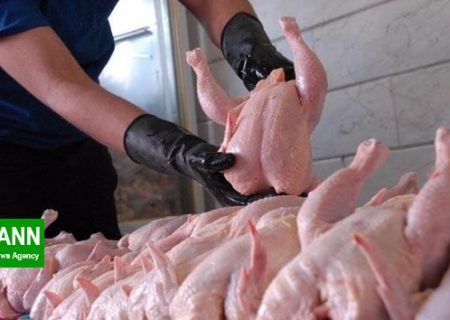 توزیع ۱۳ هزار کیلوگرم مرغ منجمد تنظیم بازار در شهرستان مرودشت