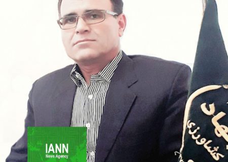 تولید پیاز در شهرستان شیراز به بیش از ۳۰ هزارتن رسید