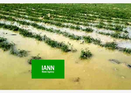 خسارت۱۱۲میلیارد تومانی سیل و باران به کشاورزی فسا