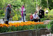 ویدئو/ میزبانی باغ ایرانی از شهروندان